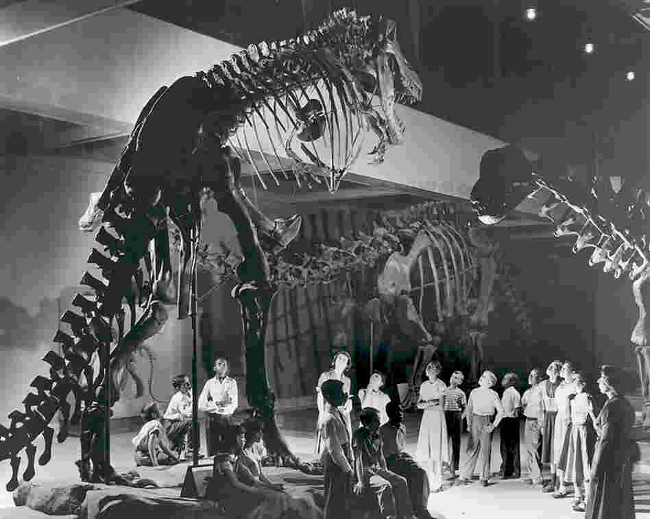 When the T. rex skeleton was first put on display, it was presented standing vertically, in this Godzilla-like pose, as seen at the Carnegie Museum of Natural History around 1950. Recent studies show the dinosaur actually kept its body horizontal. Watch the videos here to see how T. rex walked.