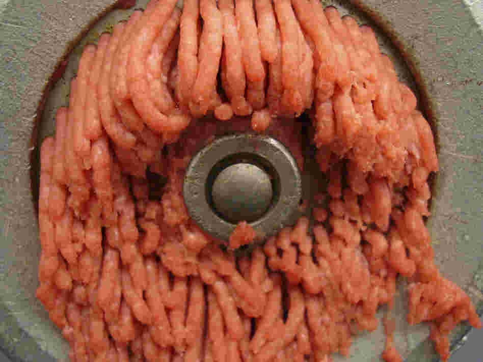 Ground beef will have to undergo more E. coli testing before sale under new USDA rule.