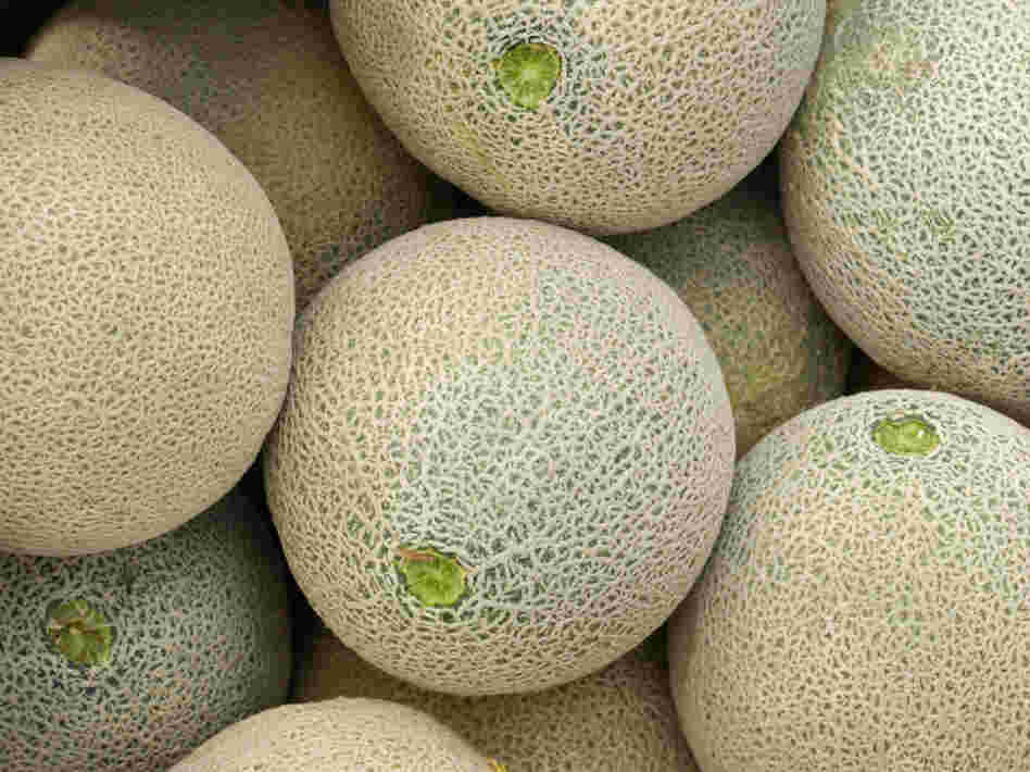 Do you really know where those cantaloupes have been? Do you really know where those cantaloupes have been?