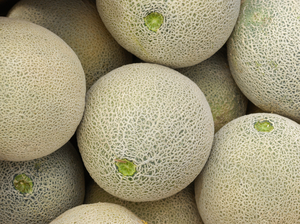 Do you really know where those cantaloupes have been? Do you really know where those cantaloupes have been?