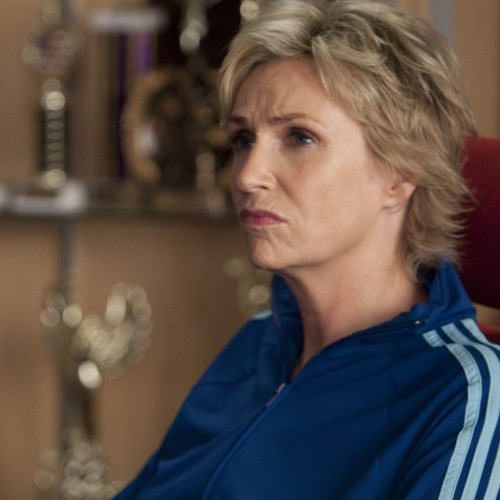 Jane Lynch plays the nasty Sue Sylvester on Fox's Glee, for which she won an Emmy Award in 2010.