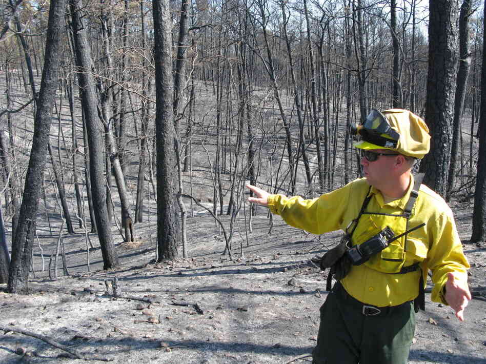 Superintendent Todd McClanahan surveys what remains of Bastrop State Park. "It hurts," he says.