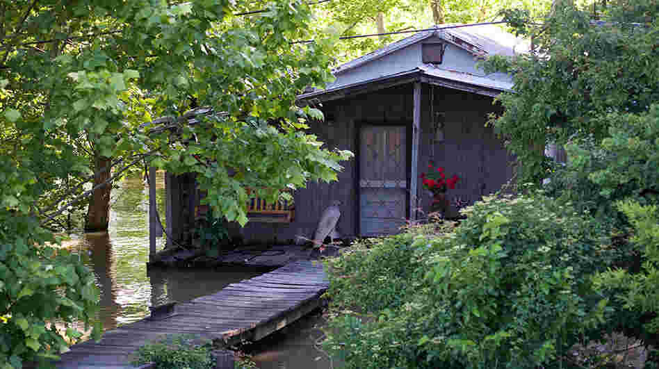 Occasional flooding is part of life on the batture, between the Mississippi River and the levee.
