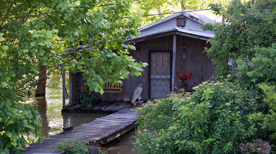 Occasional flooding is part of life on the batture, between the Mississippi River and the levee.