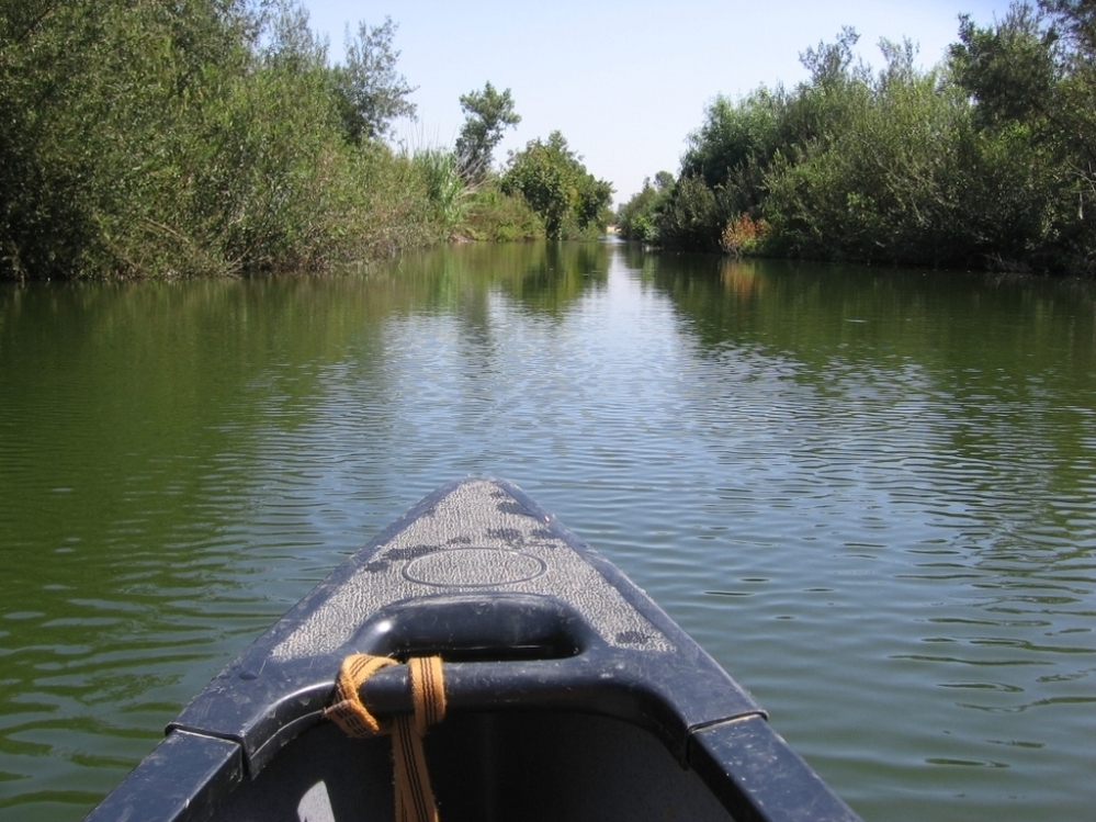 Los Angeles officials want the L.A. River to become a wildlife habitat.