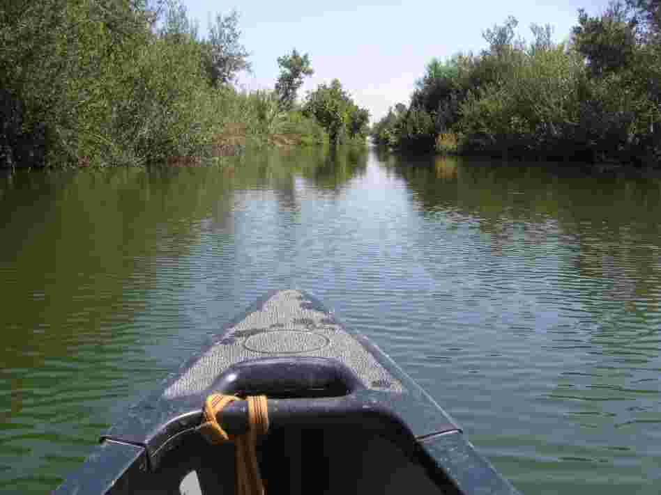 Los Angeles officials want the L.A. River to become a wildlife habitat.