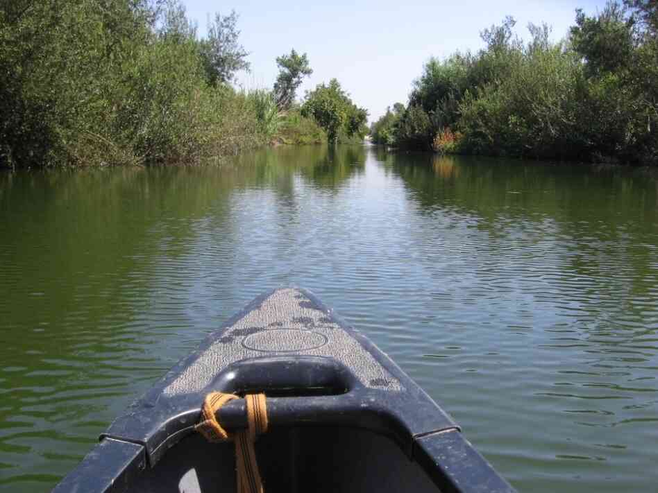 Los Angeles officials want the L.A. River to become a wildlife habitat.