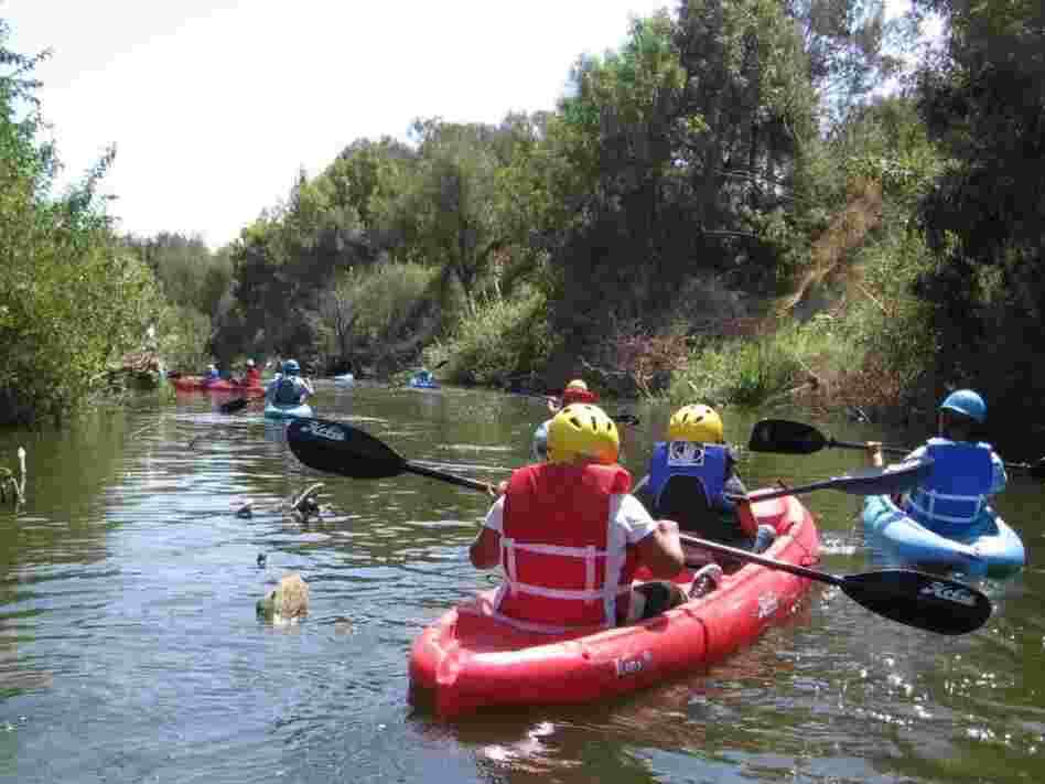 The fifth-graders from L.A.'s Pico Union neighborhood, who rarely get to spend time in nature, say it was the best field trip ever.