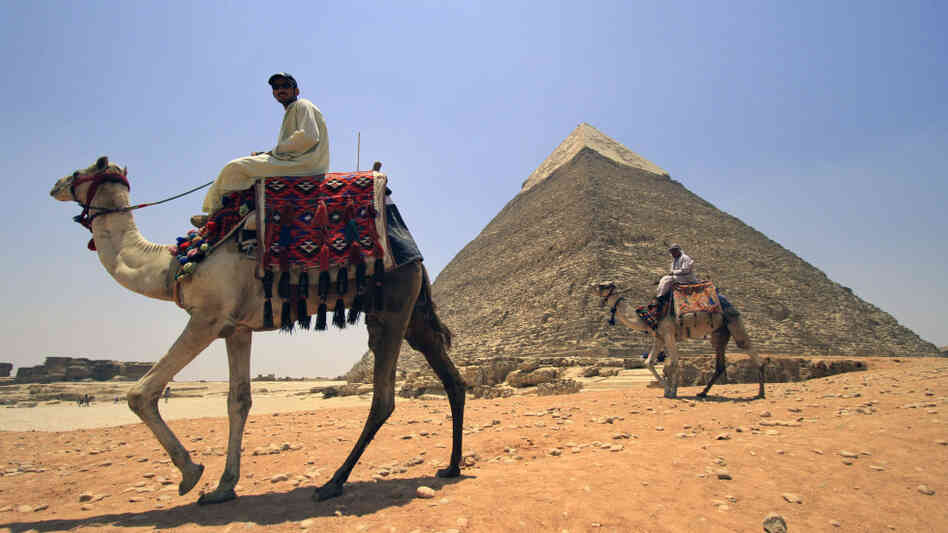 Tourist guides sit on camels as they wait for clients next to the Giza pyramids on the outskirts of Cairo, Egypt, June  23. Tourism in Egypt has dropped 35 percent overall in the first half of this year compared with the same period in 2010.
