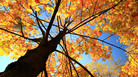 The changing of the season can trigger a change in musical appetite. The changing of the season can trigger a change in musical appetite.