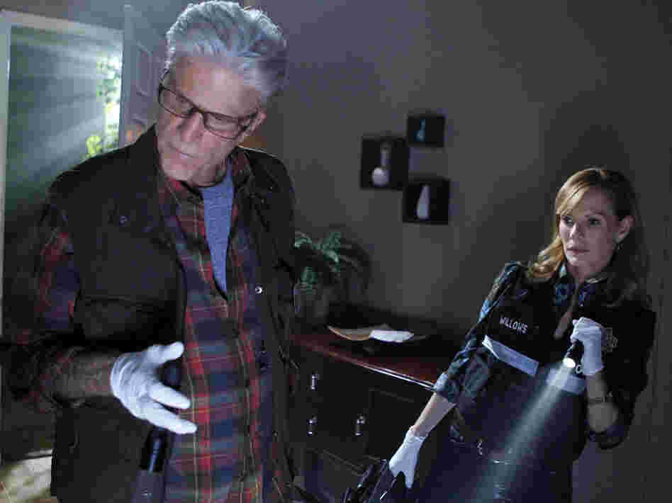 Ted Danson and Marg Helgenberger search for clues on the CBS drama CSI.