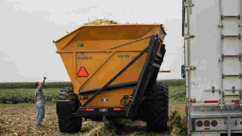 Austin Bruns, 25, watches as harvesters bring in corn crops on fields near his hometown of Beaver Crossing, Neb. Bruns currently rents land and would prefer to own, but banks aren't lending to high-risk new farmers. Austin Bruns, 25, watches as harvesters bring in corn crops on fields near his hometown of Beaver Crossing, Neb. Bruns currently rents land and would prefer to own, but banks aren't lending to high-risk new farmers.