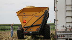 Austin Bruns, 25, watches as harvesters bring in corn crops on fields near his hometown of Beaver Crossing, Neb. Bruns currently rents land and would prefer to own, but banks aren't lending to high-risk new farmers.