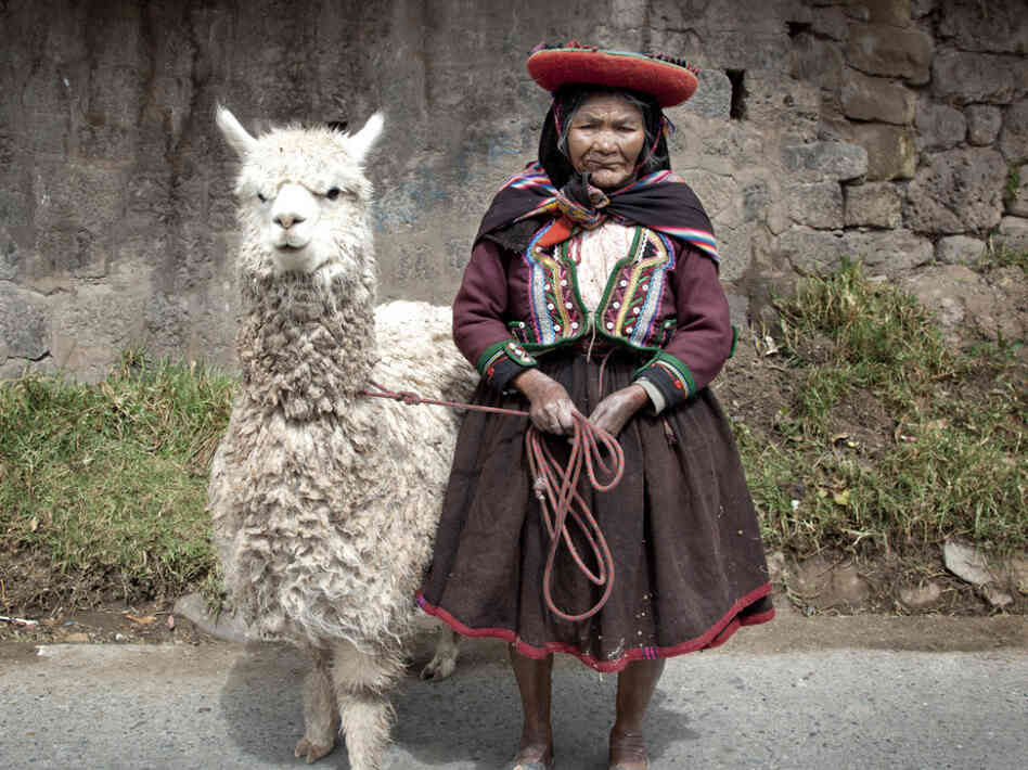 A woman stands with her alpaca in Peru. A woman stands with her alpaca in Peru.