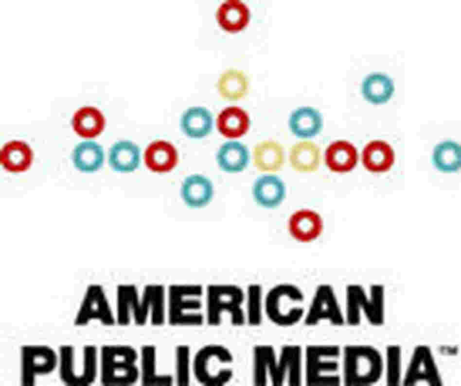 APM Logo