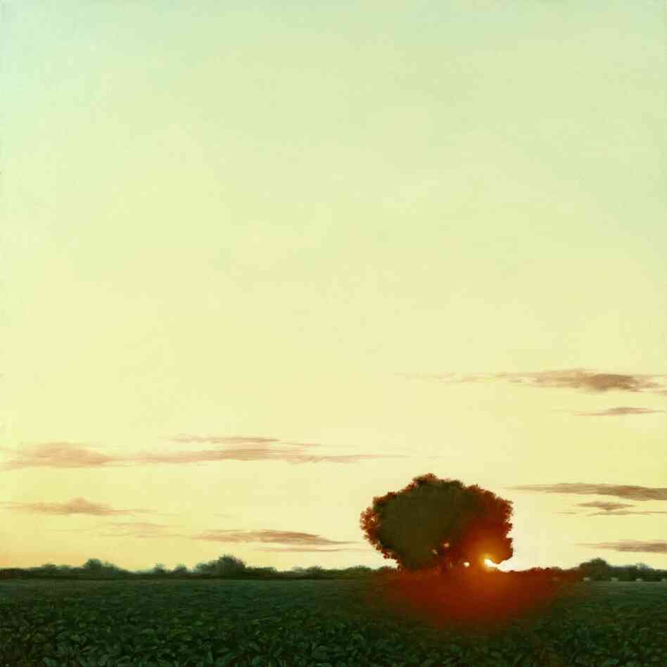 Tobacco Field Sunrise Tobacco Field Sunrise
