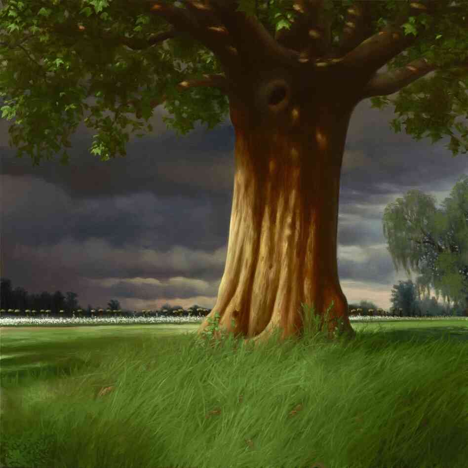 Whipping Tree Whipping Tree