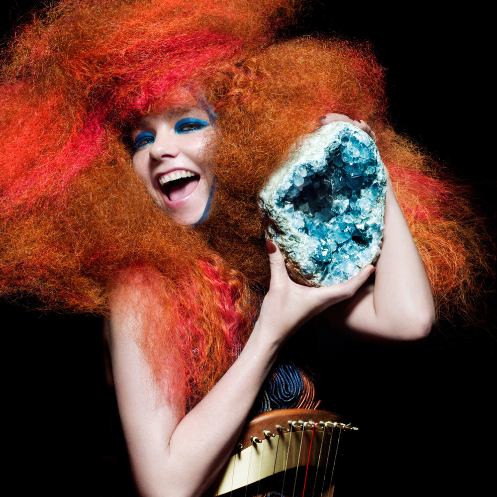 Bjork's Biophilia was created in collaboration with iPad app designers to create an interactive musical experience.
