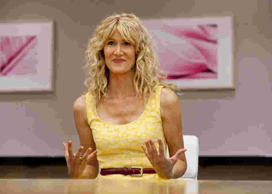 Laura Dern is Amy Jellicoe, a health and beauty executive who returns from a post-meltdown retreat to pick up the pieces of her broken life in the new HBO series Enlightened.