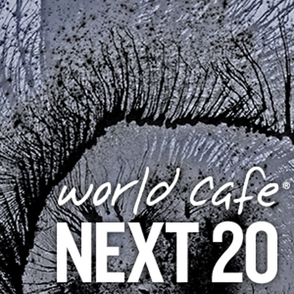 World Cafe Next 20 sampler cover