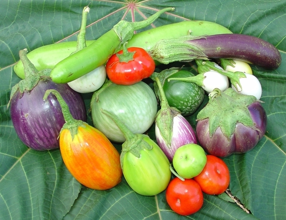 Jere Gettle's Baker Creek Heirloom Seed Co. offers seeds for 62 different varieties of eggplant.
