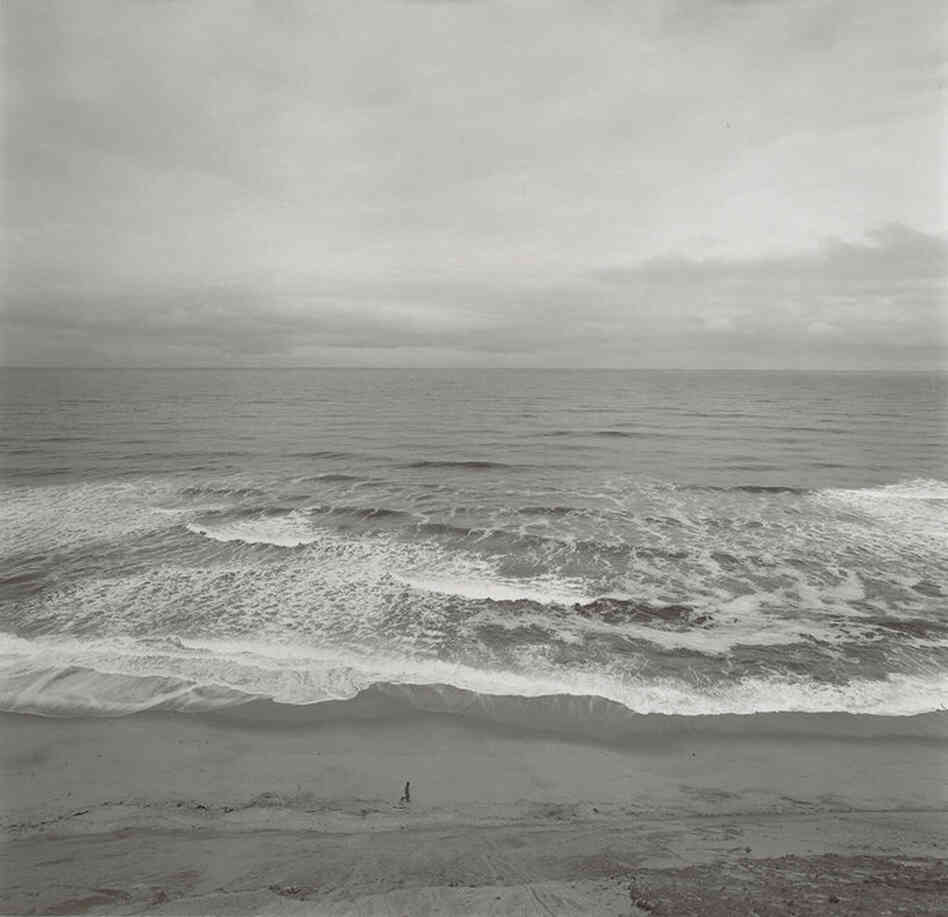 Cape Cod, 1974