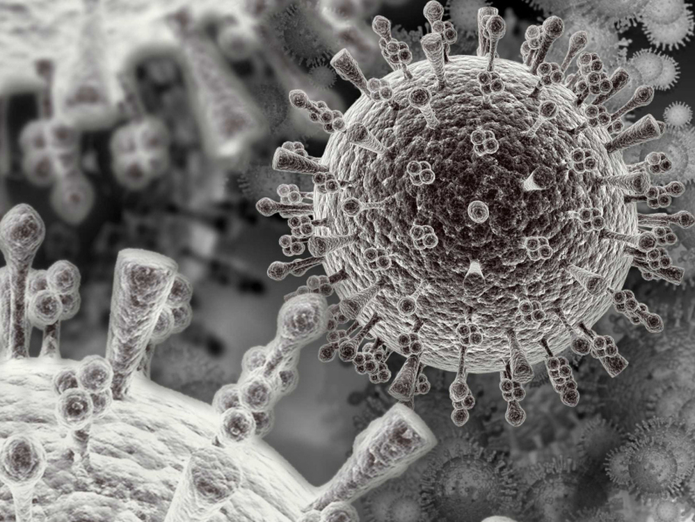 An image of the H5N1 avian flu virus.