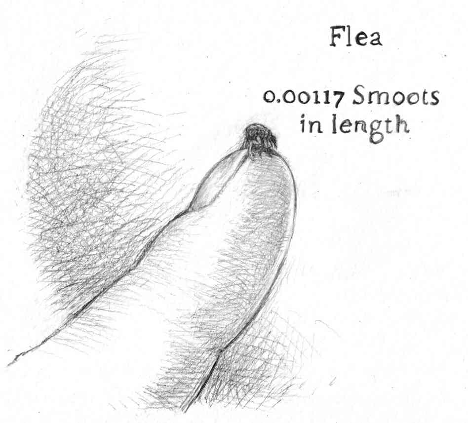  A flea is 0.00117 smoots in length.