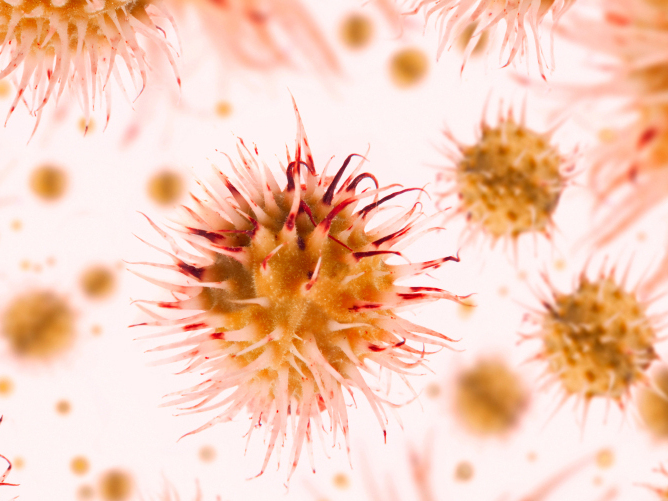 Surprise In Your Sewage Lots Of Exotic Viruses Shots Health News NPR