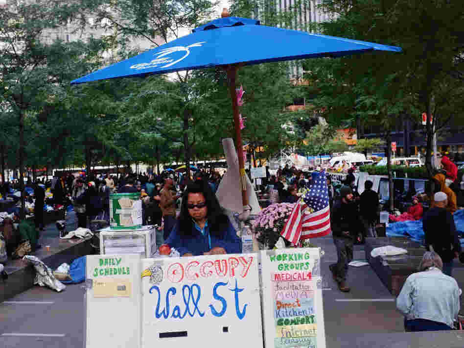 An "Occupy Wall Street" demonstrator at Zuccotti Park An "Occupy Wall Street" demonstrator at Zuccotti Park
