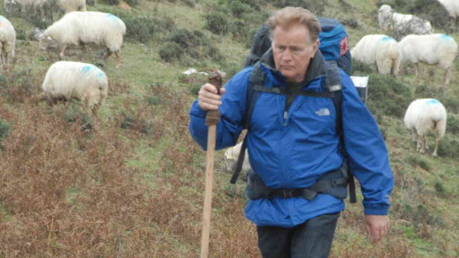 Martin Sheen plays Tom, an American doctor who walks the Camino de Santiago, a historical pilgrimage across northern Spain. Along the way, he sprinkles the ashes of his son, who died on the 500-mile route. Martin Sheen plays Tom, an American doctor who walks the Camino de Santiago, a historical pilgrimage across northern Spain. Along the way, he sprinkles the ashes of his son, who died on the 500-mile route.