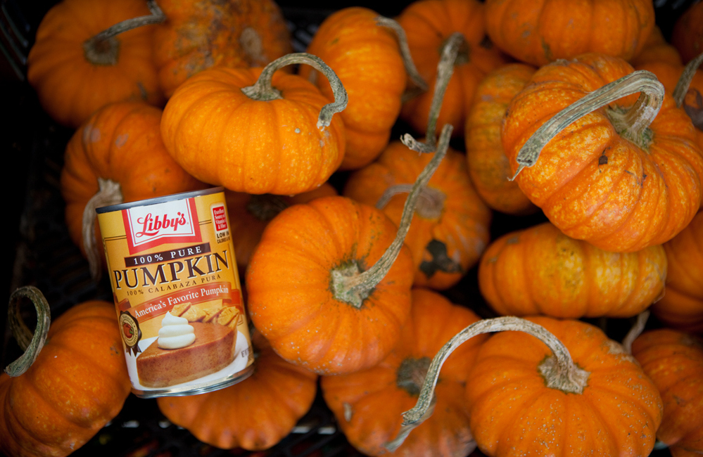 Need pumpkin for your pies or pets? Pick the canned kind and you won't pay a premium