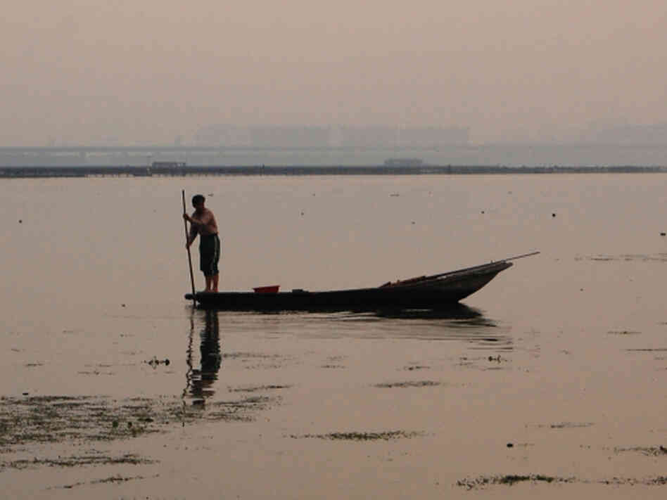 A crab fisherman plies Yangcheng Lake in the city of Suzhou, not far from Shanghai. The lake is reputed to produce the tastiest crabs in China, but most crabs raised in Yangcheng actually come from somewhere else. A crab fisherman plies Yangcheng Lake in the city of Suzhou, not far from Shanghai. The lake is reputed to produce the tastiest crabs in China, but most crabs raised in Yangcheng actually come from somewhere else.