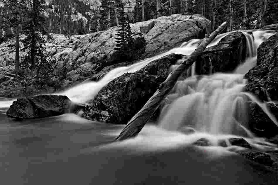 Melting snowpack sluices down Shadow Creek.