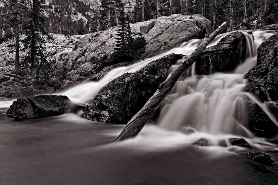 Melting snowpack sluices down Shadow Creek.