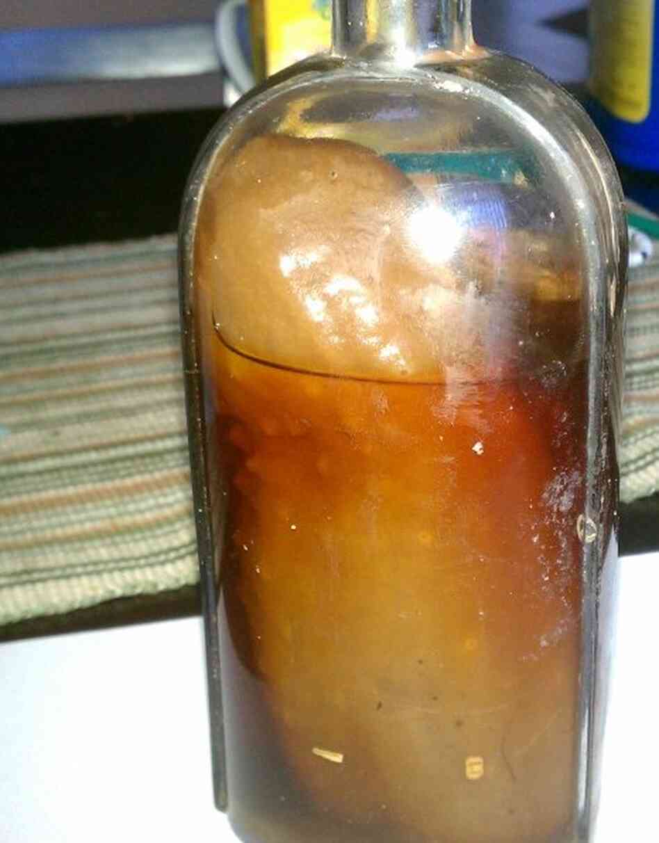 James Boyle's great-great-grandmother bottled this pickle in 1876, and the family has been passing it down ever since. James Boyle's great-great-grandmother bottled this pickle in 1876, and the family has been passing it down ever since.