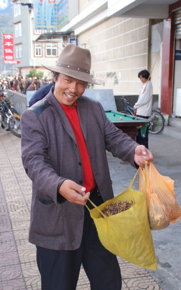 A yartsa gunbu dealer in the town of Bayi, Tibet.