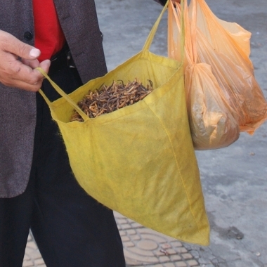 If you thought white truffles were expensive, try paying $50,000 a pound for Tibetan yartsa gunbu.