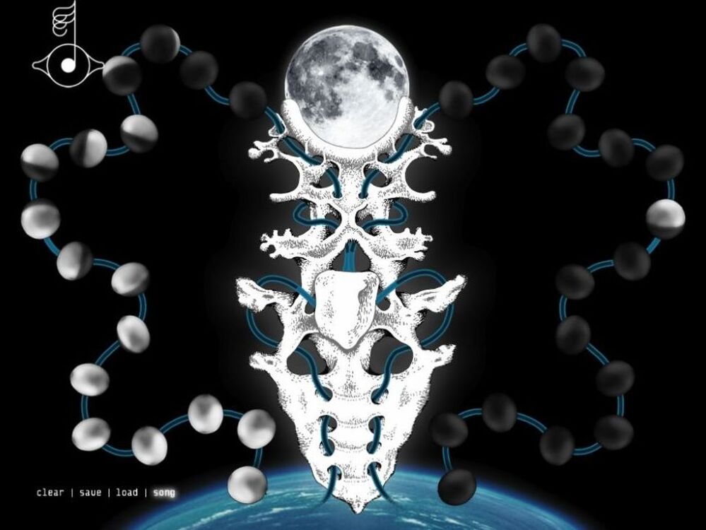 Image from Bjork's  Biophilia app
