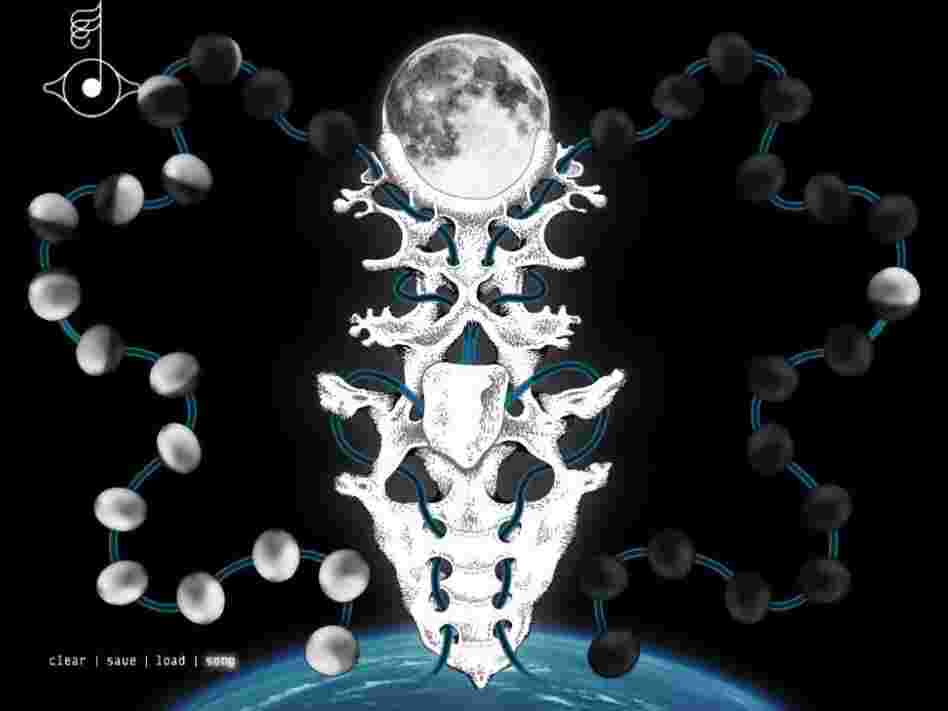Image from Bjork's  Biophilia app