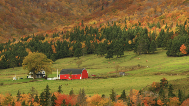 The money is only part of the challenge facing school lunch programs who want to expand contracts with local farms.