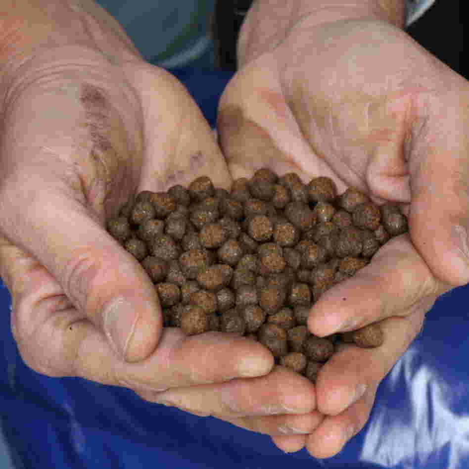 Fish feed contains fishmeal and fish oil