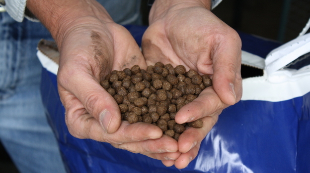 Fish feed contains fishmeal and fish oil (NPR)