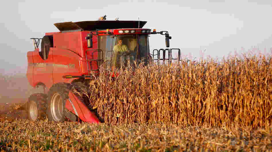 For speculators, food is a commodity to trade, not eat.