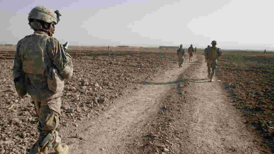 Afghanistan's Panjwai district, southwest of Kandahar city, was a Taliban stronghold until the U.S. troop surge in 2010 began to displace the insurgents. 