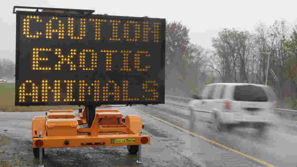 A sign warning motorists that exotic animals are on the loose rests on I-70 Wednesday, Oct. 19.