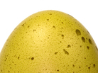 An egg. An egg.