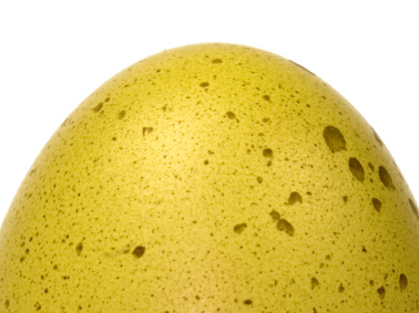 <p>An egg.</p>