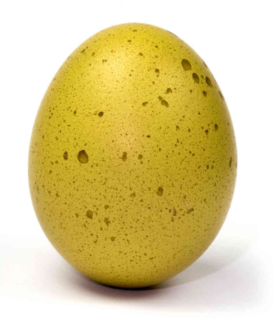 An egg. An egg.