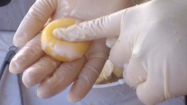 An egg yolk cooked long and low makes for a custardy yolk, sous vide cook Lisa Qiu says. (NPR)